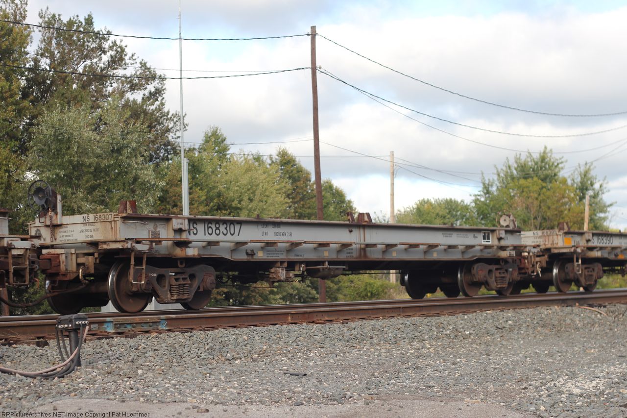 NS 168307