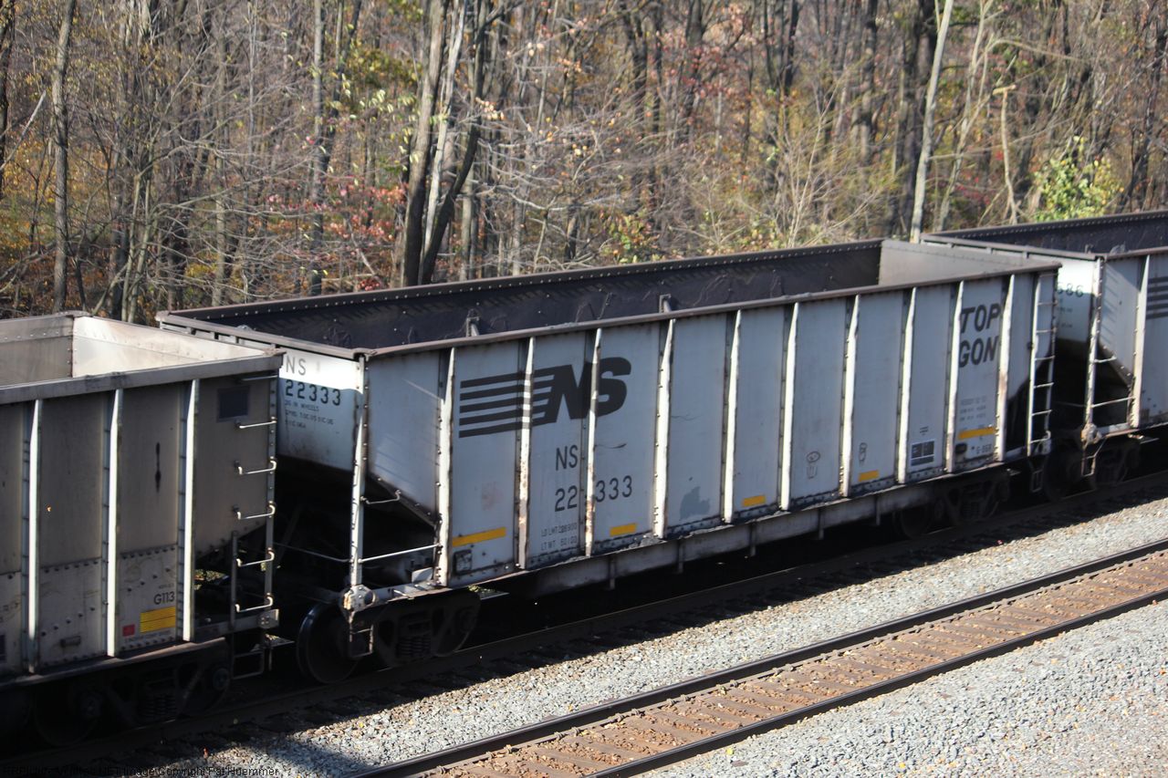 NS 22333