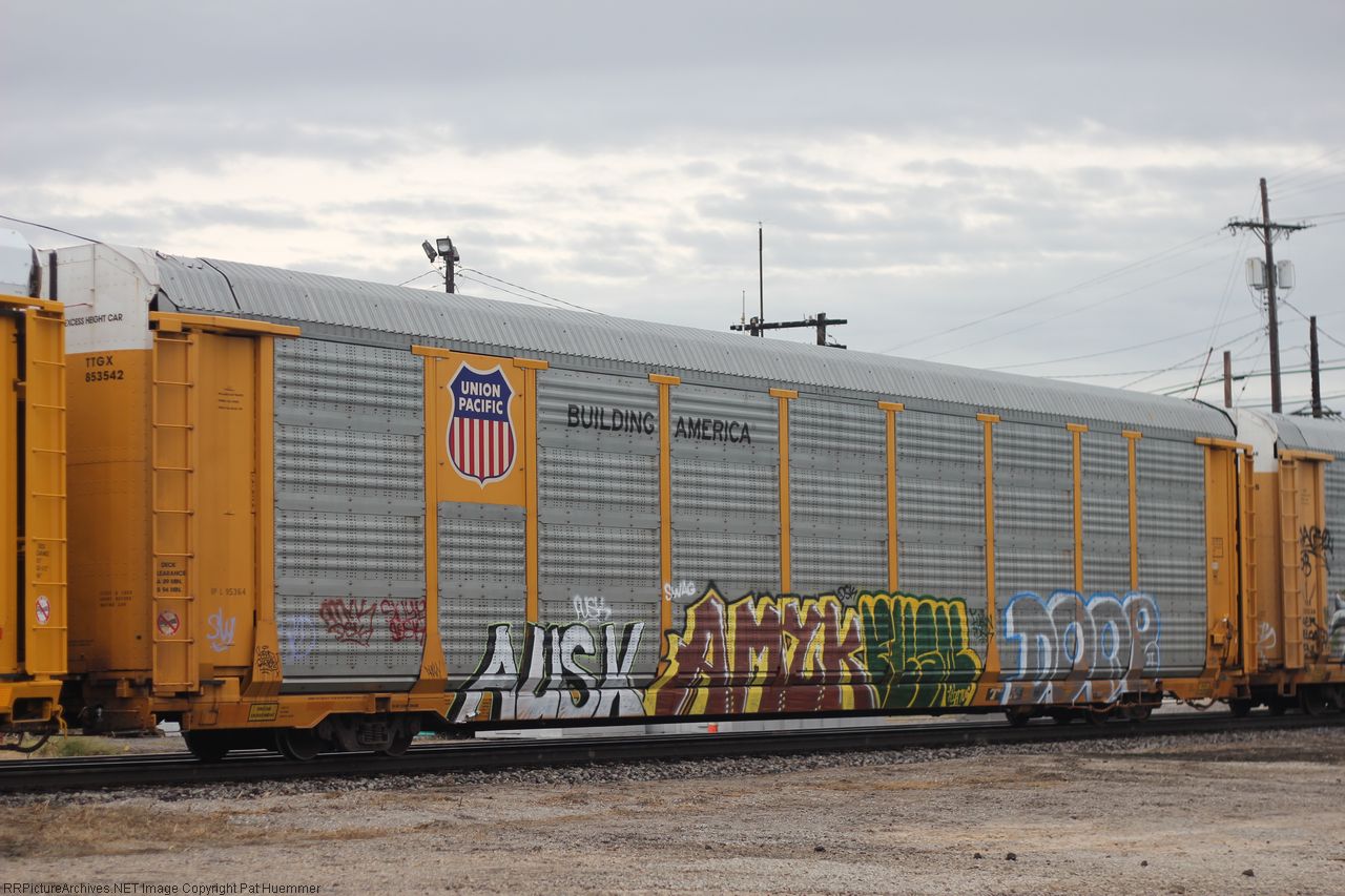 TTGX 853542
