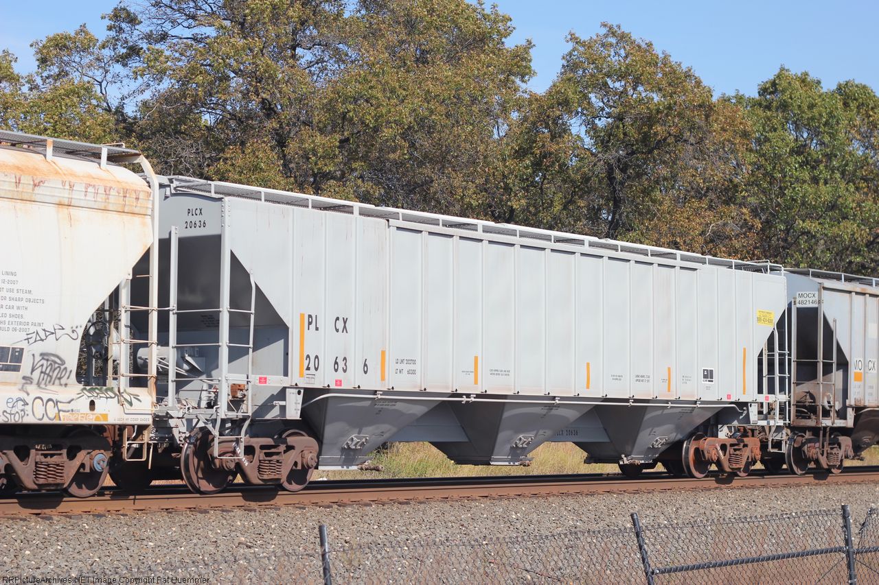 PLCX 20636