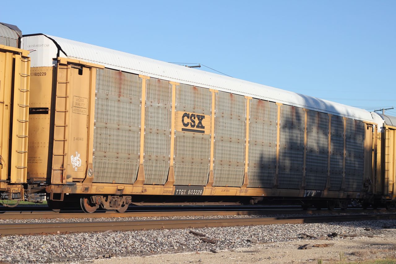 TTGX 603229