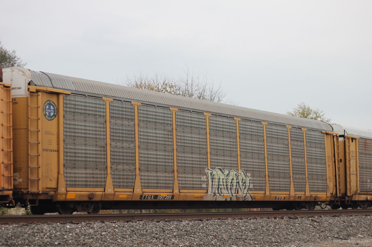 TTGX 997391
