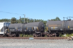 CRGX 6234
