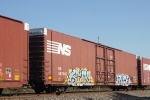 NS 487907