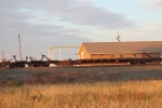 TTRX 360993