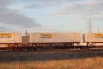 TTRX 376563