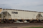 NS 245173
