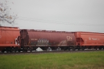 CNLX 6254