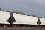 AMCX 4498