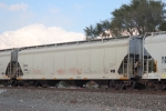 CEFX 11353