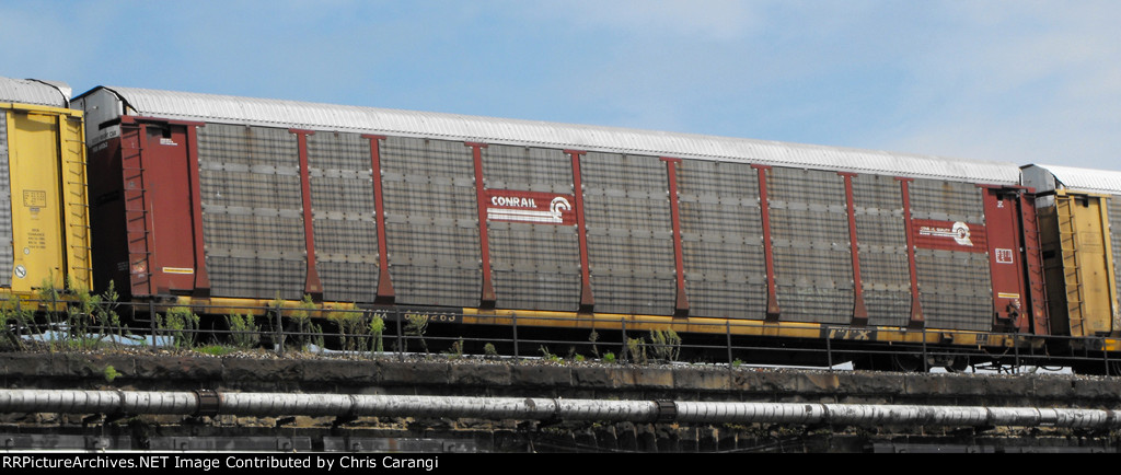 TTGX 604263