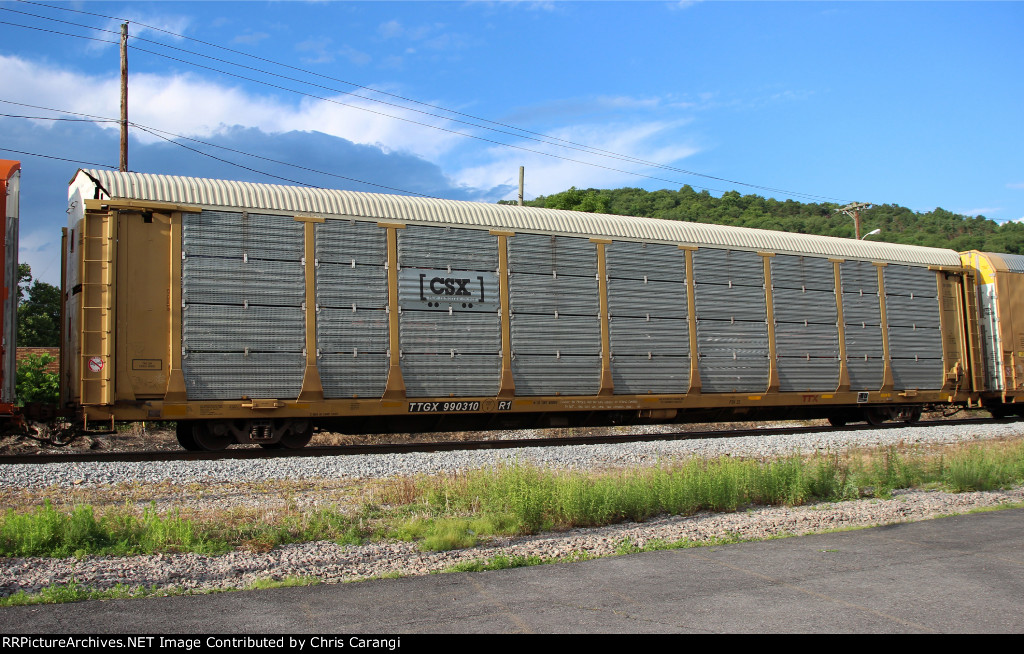 TTGX 990310