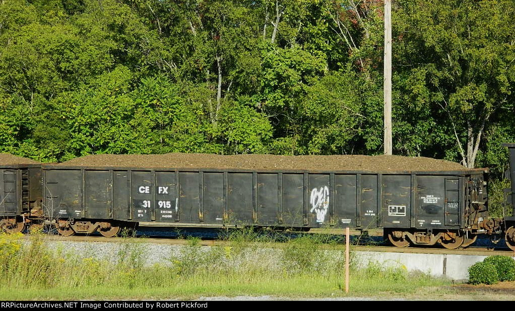 CEFX 31915