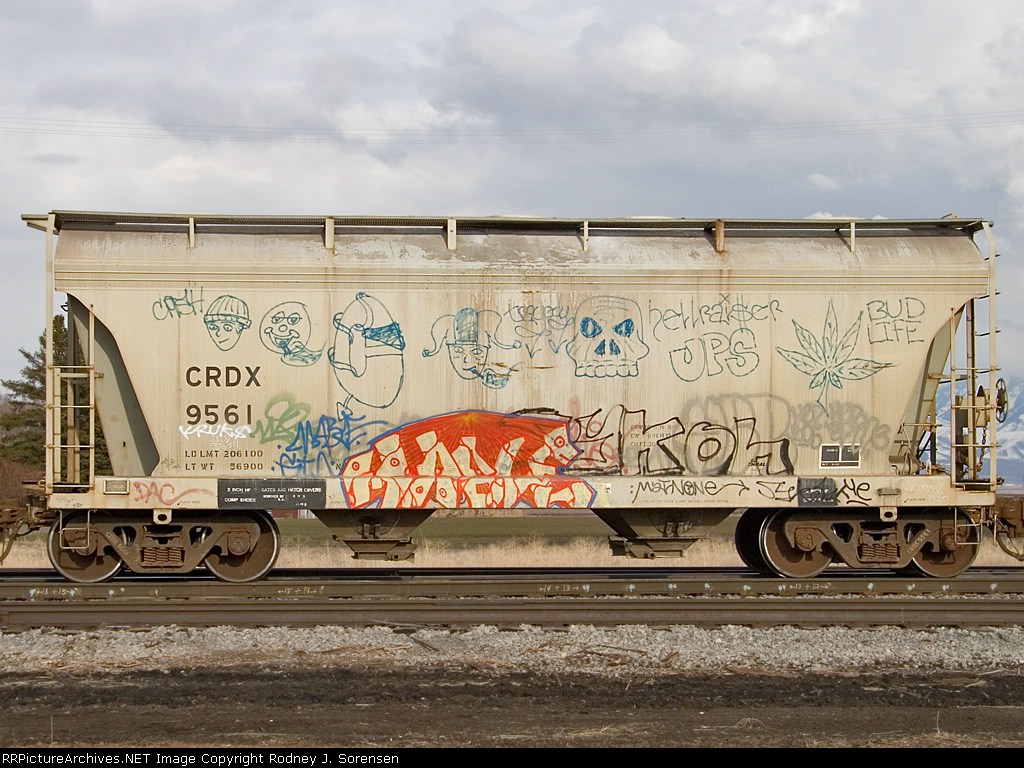 CRDX 9561
