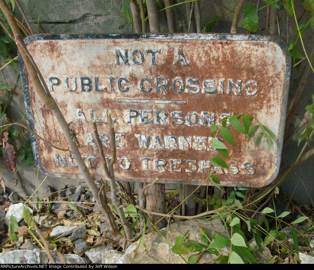 Found this one in a bush