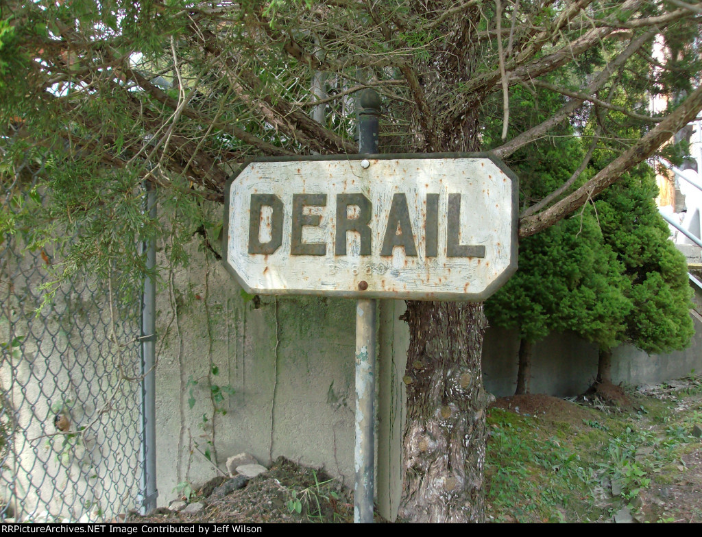 Found this one under a tree