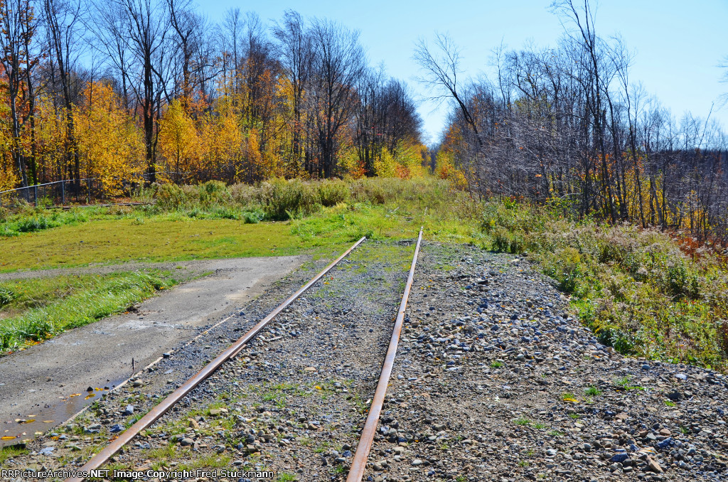 Looking away from the bridge.