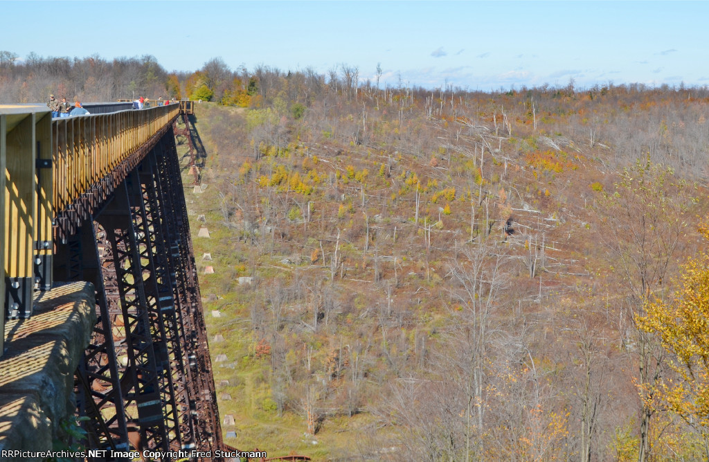 Forest debris field.