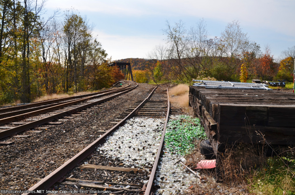 Broken glass bottles on the ground.