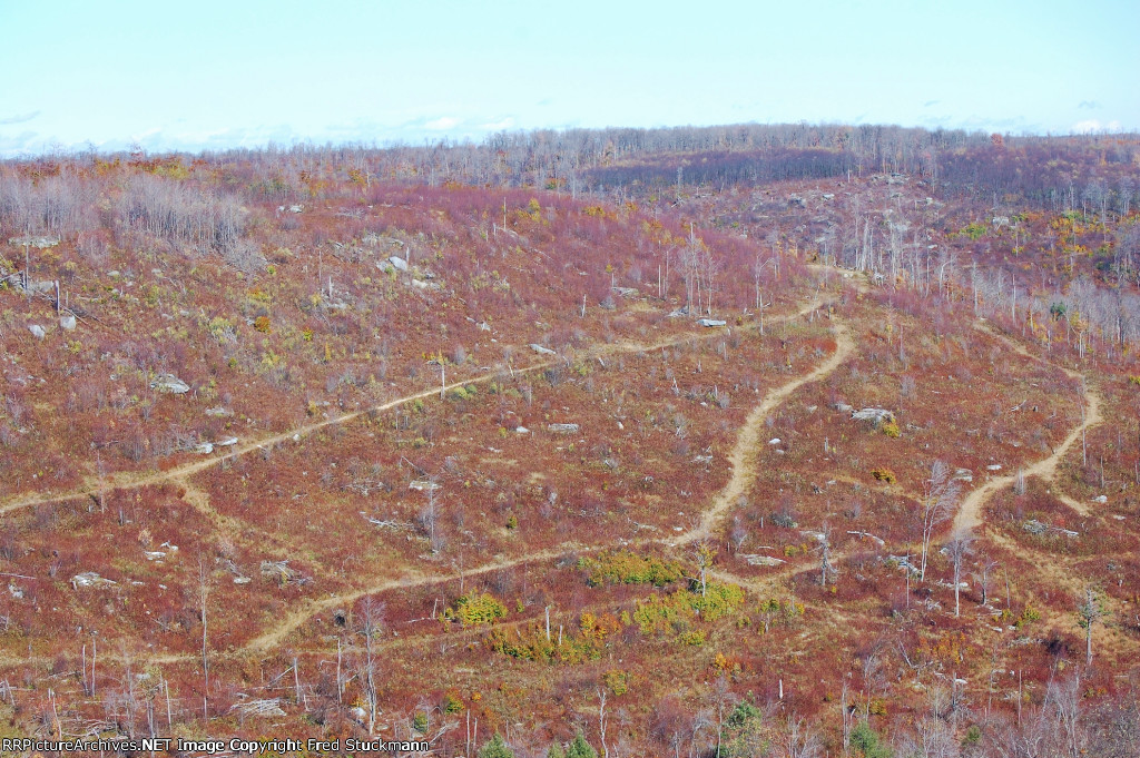 A look east off the cridge.