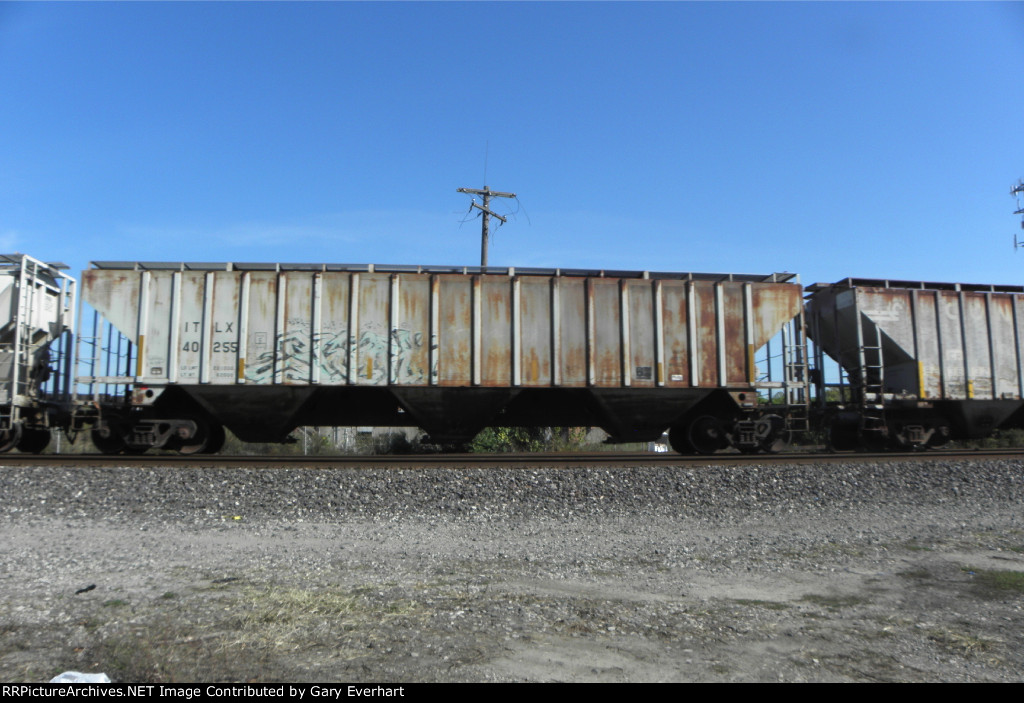 ITLX 40255