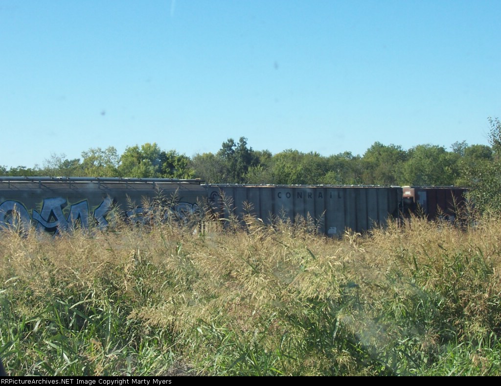 Obscured by weeds at the CO-OP