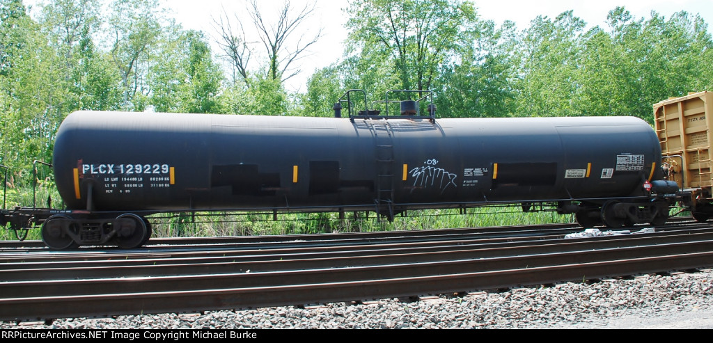PLCX 129229