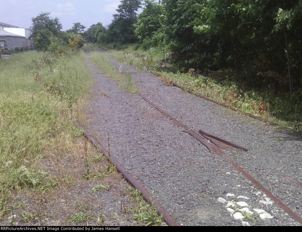 Dunellen yard Now Abandoned and over grown
