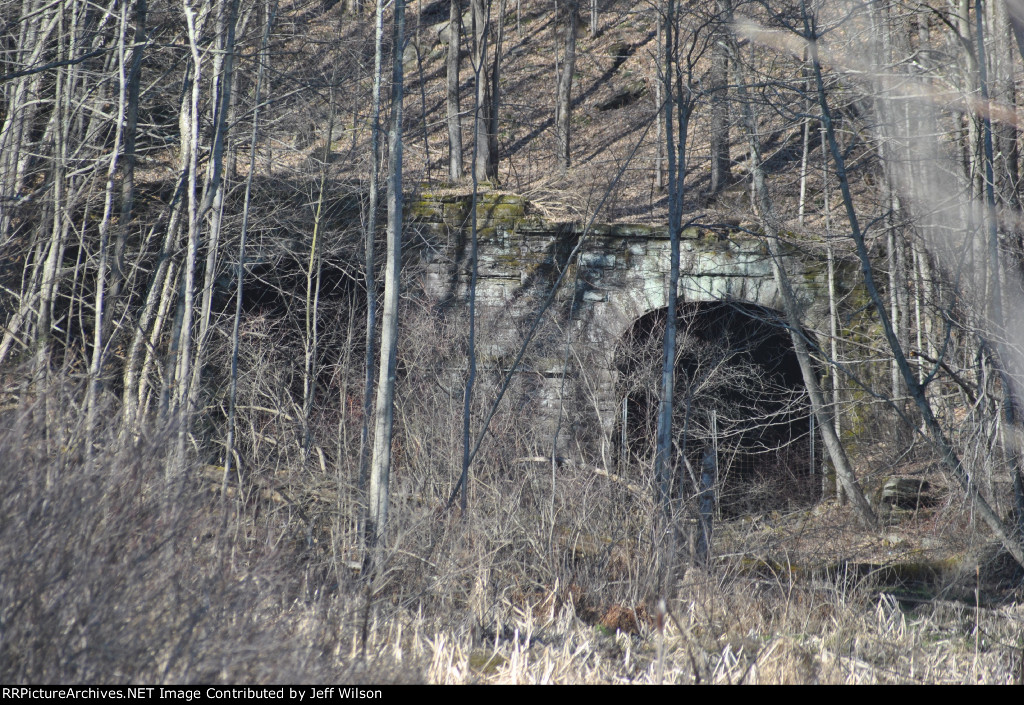 Old Factoryville/Nicholson Twin Tunnels