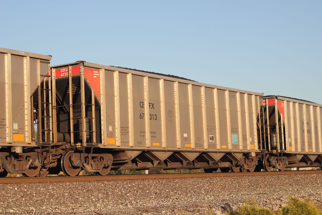 CEFX 67313