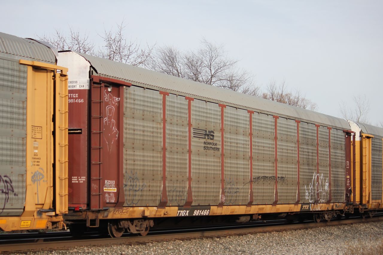 TTGX 981466