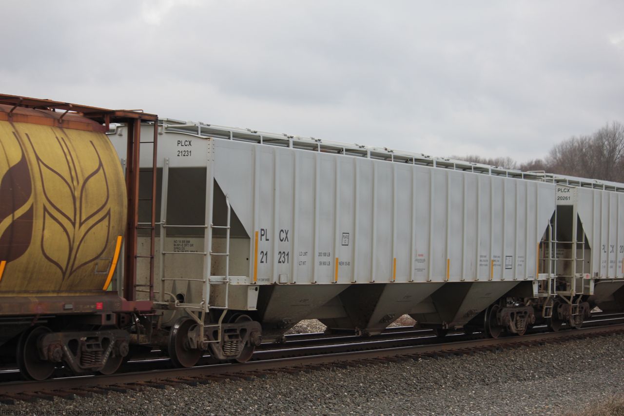 PLCX 21231