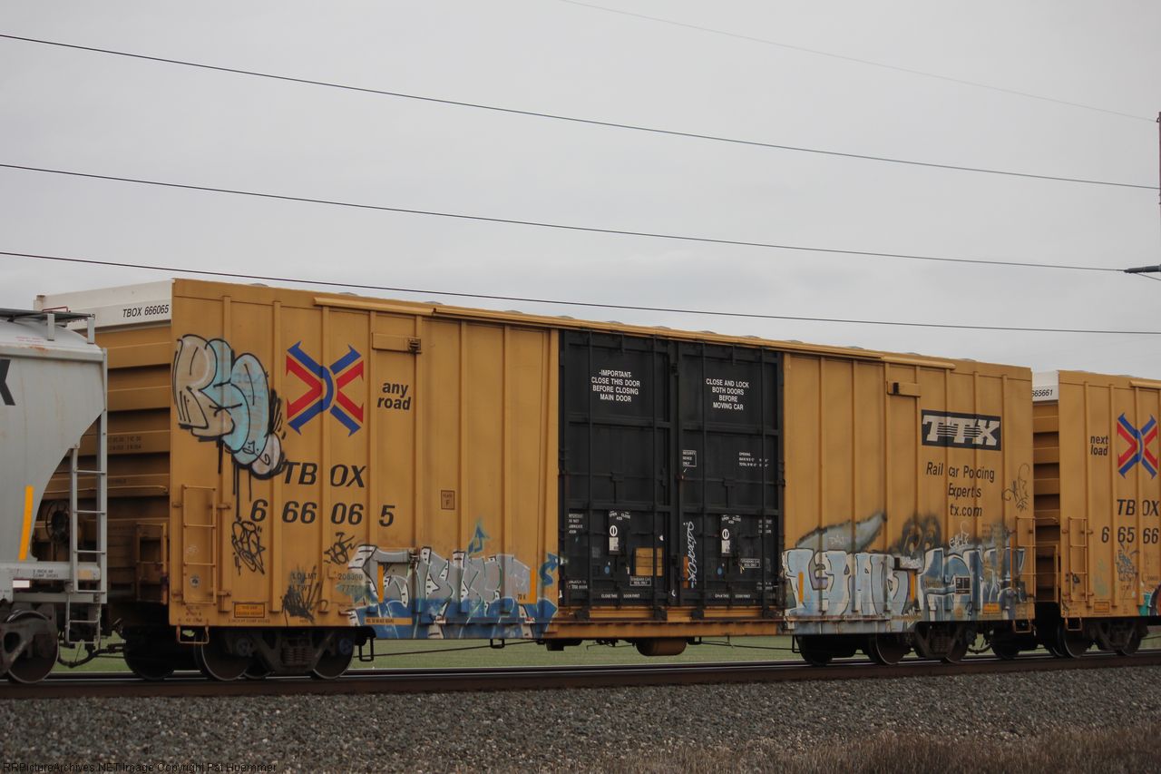 TBOX 666065