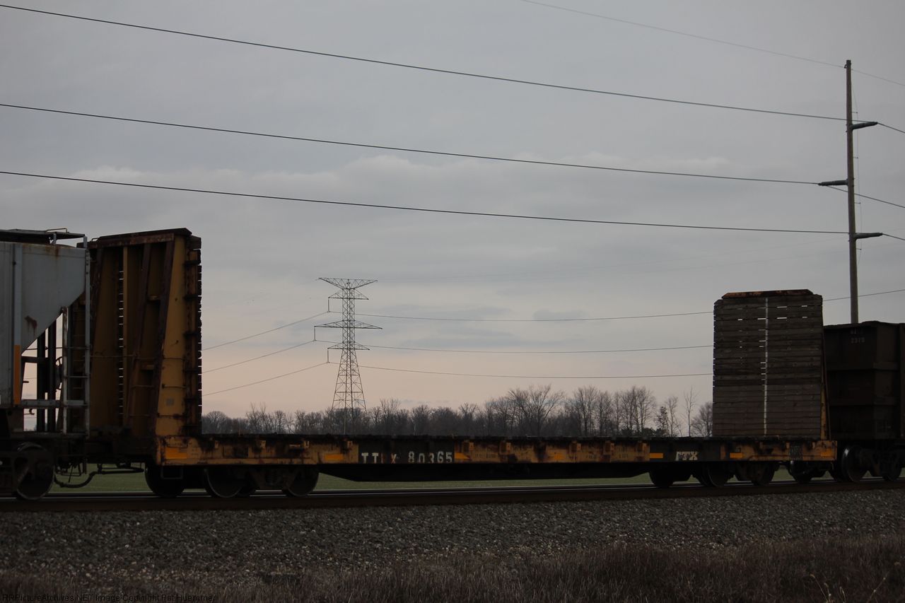 TTPX 80365