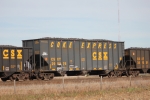 CSX 295576