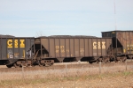 CSX 813511