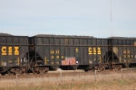 CSX 297442