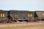 CSX 297433
