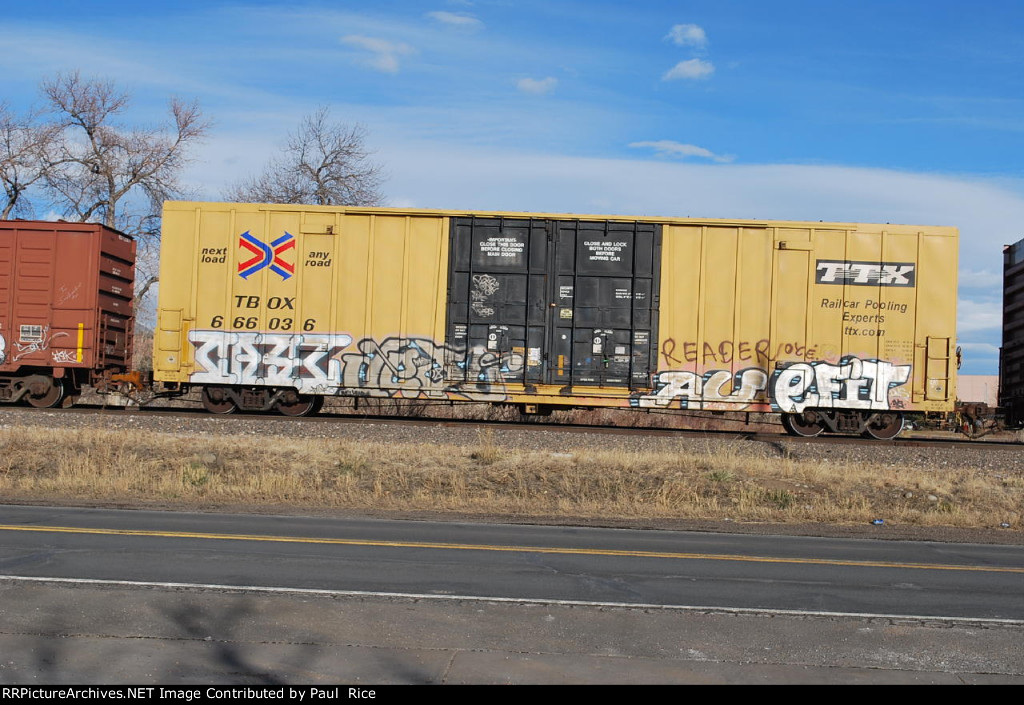TBOX 666036