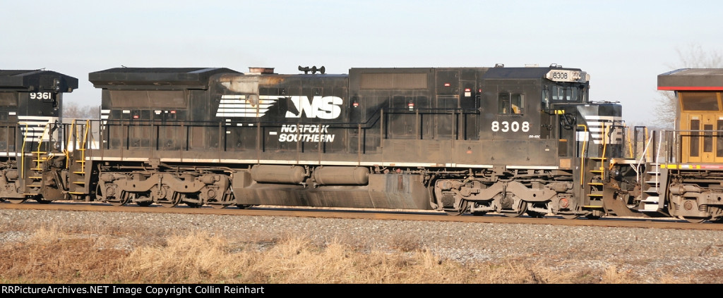 NS 8308