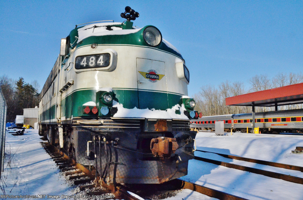 A colorful variety today.