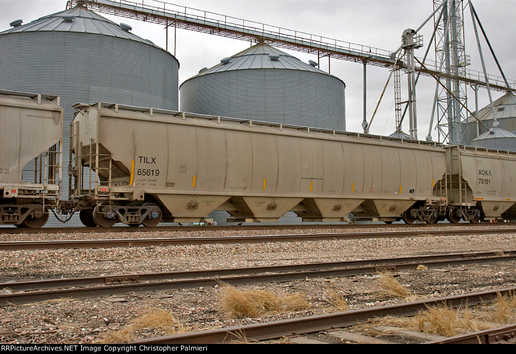 TILX 65619