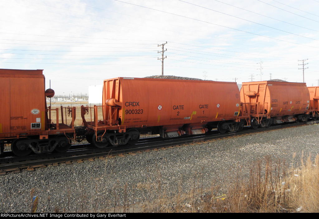CRDX 900323 and CRDX 900351