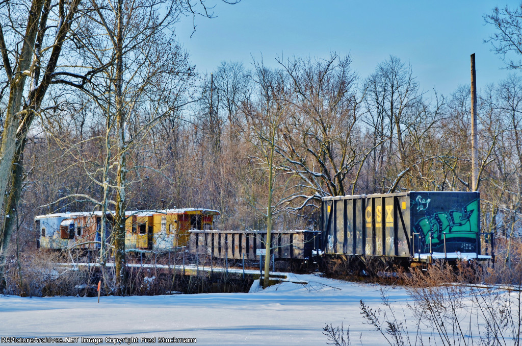 Pbrmanent residents.