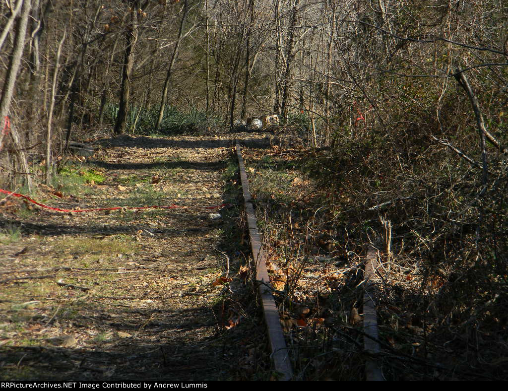 Looking down the track