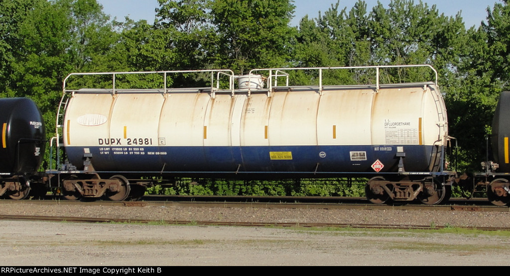 DUPX 24981