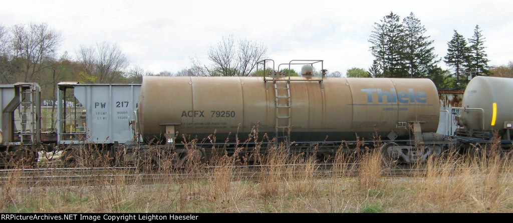 ACFX 79250 in Thiele paint