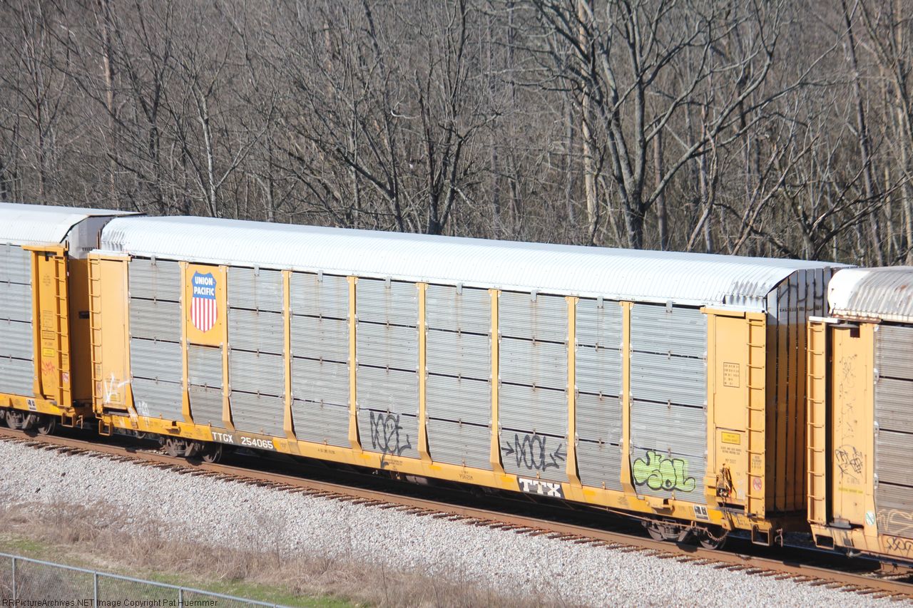 TTGX 254065