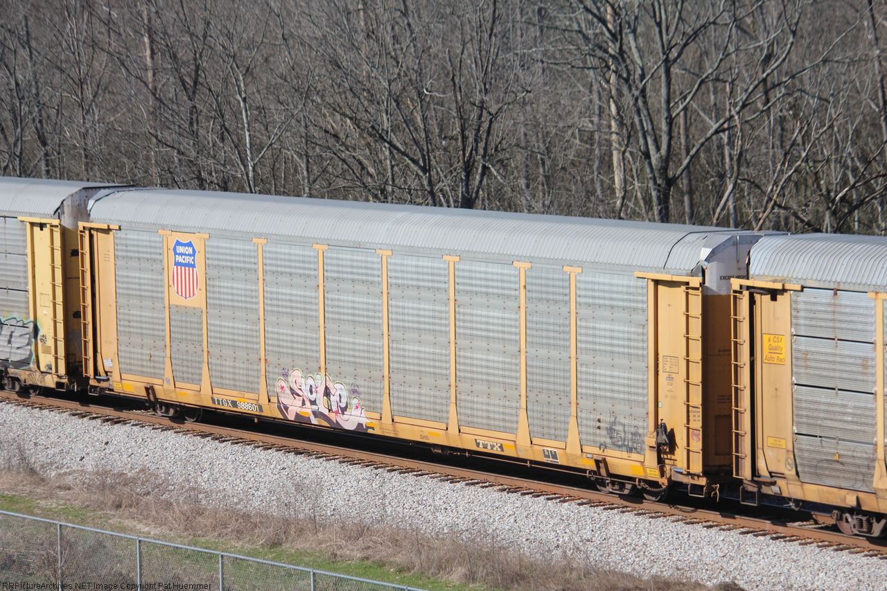 TTGX 988601