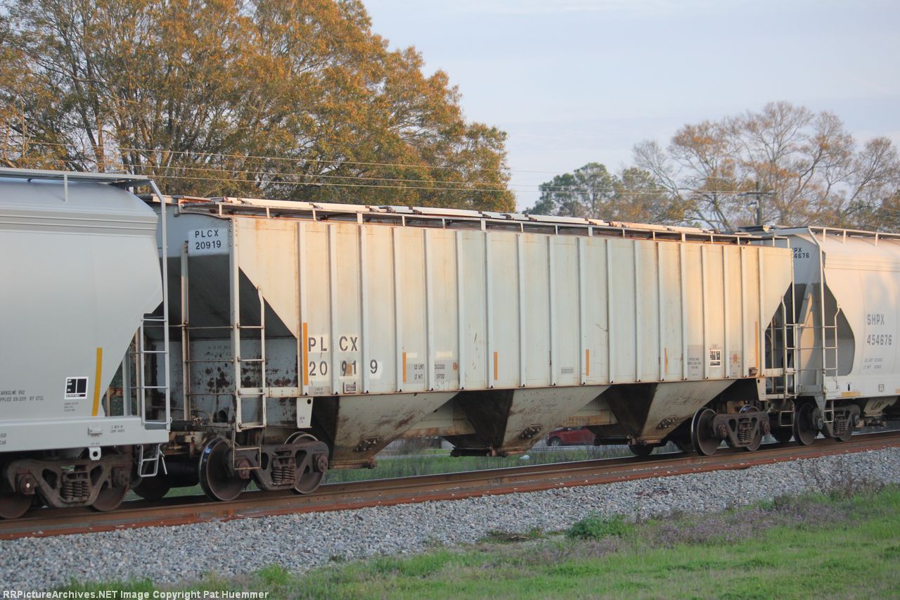 PLCX 20919